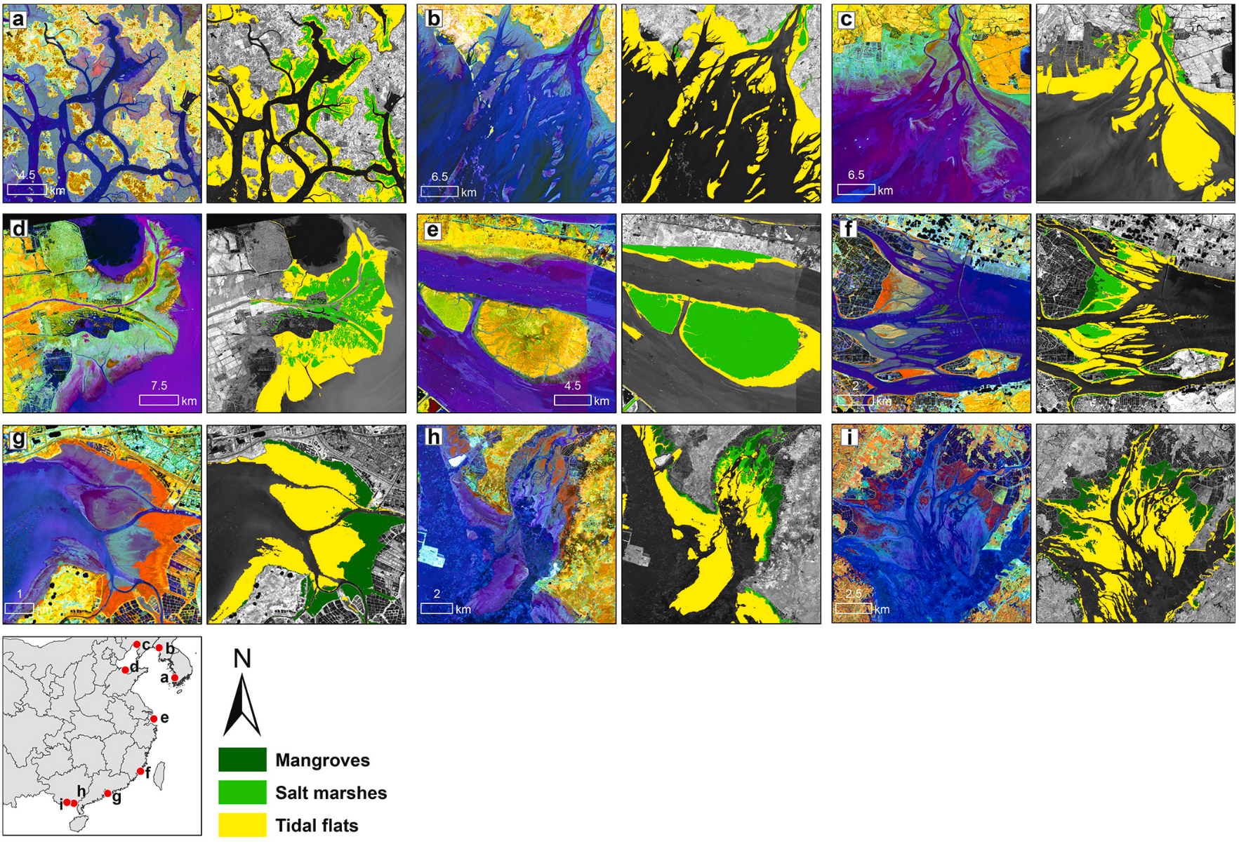 Tidal wetlands in East Asia figure