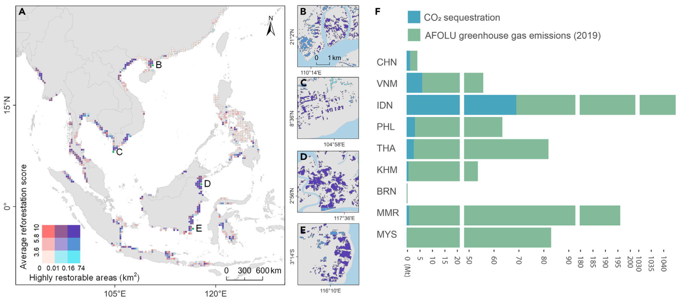 Mangrove restoration figure