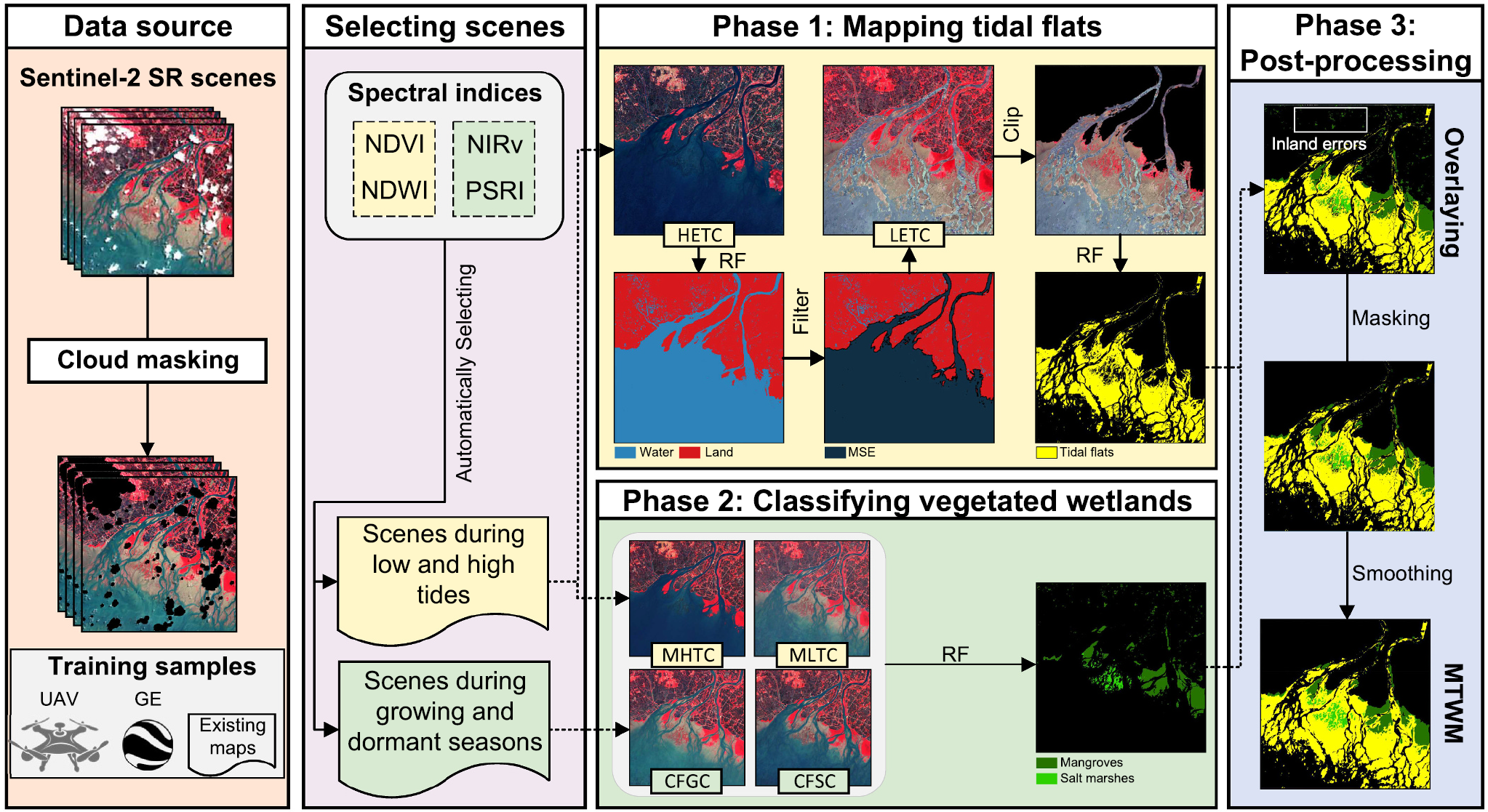 Mangrove growth and resilience figure